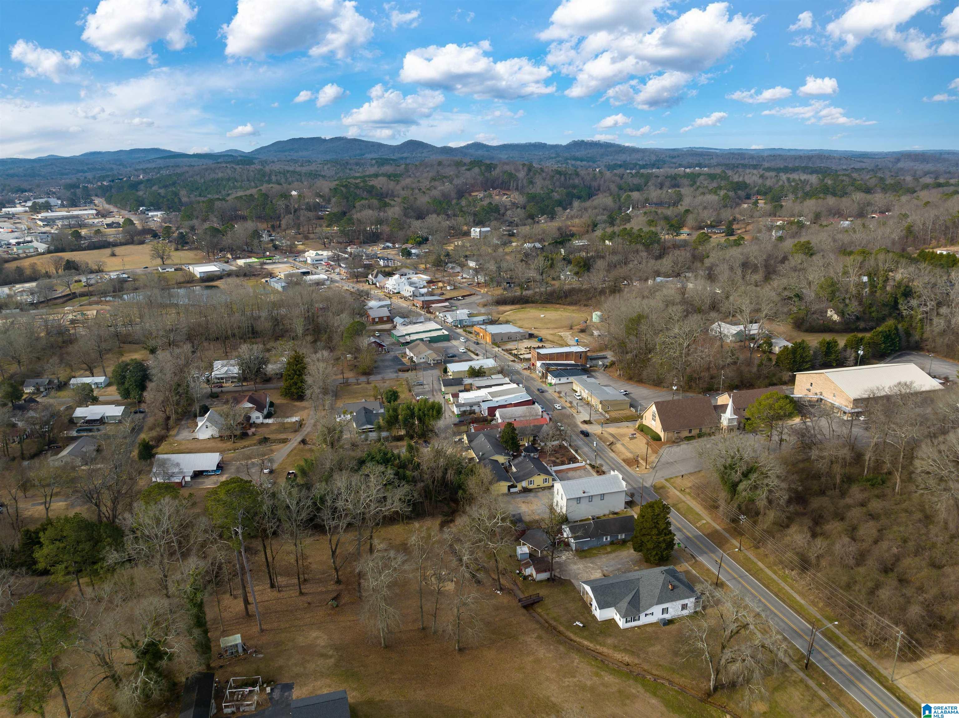 21 Bruce Street Springville, AL 35146 - Photo 38 of 43