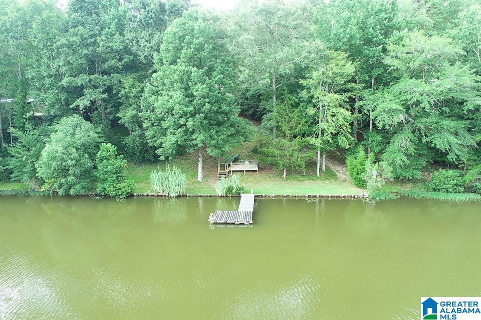 143 County Road 2010 Delta, AL 36258 - Photo 25 of 32