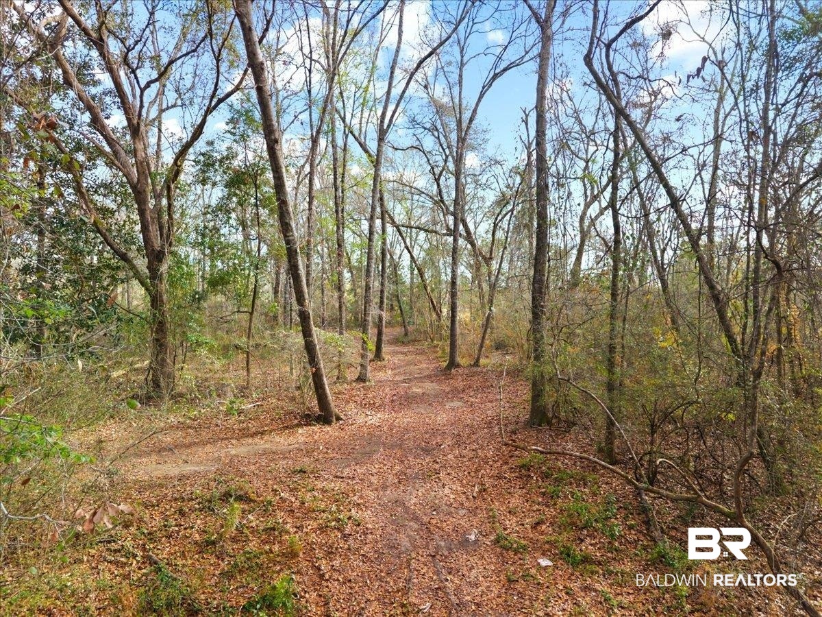 Chene Trace Robertsdale, AL 36567 - Photo 9 of 22 View of local wilderness
