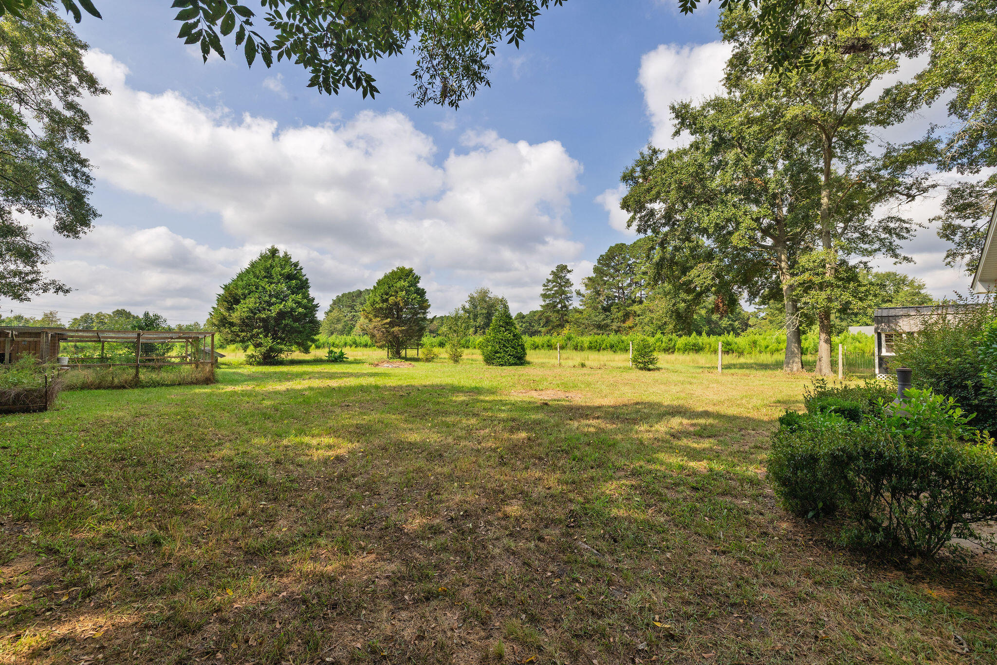 105 Dukes Street St. George, SC 29477 - Photo 49 of 58 Lot
