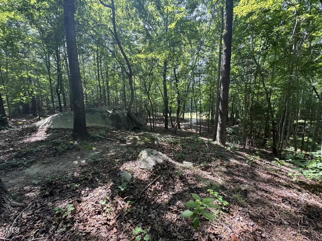 1355 Sykes Road Spring Hope, NC 27882 - Photo 39 of 39 image000000 (5)