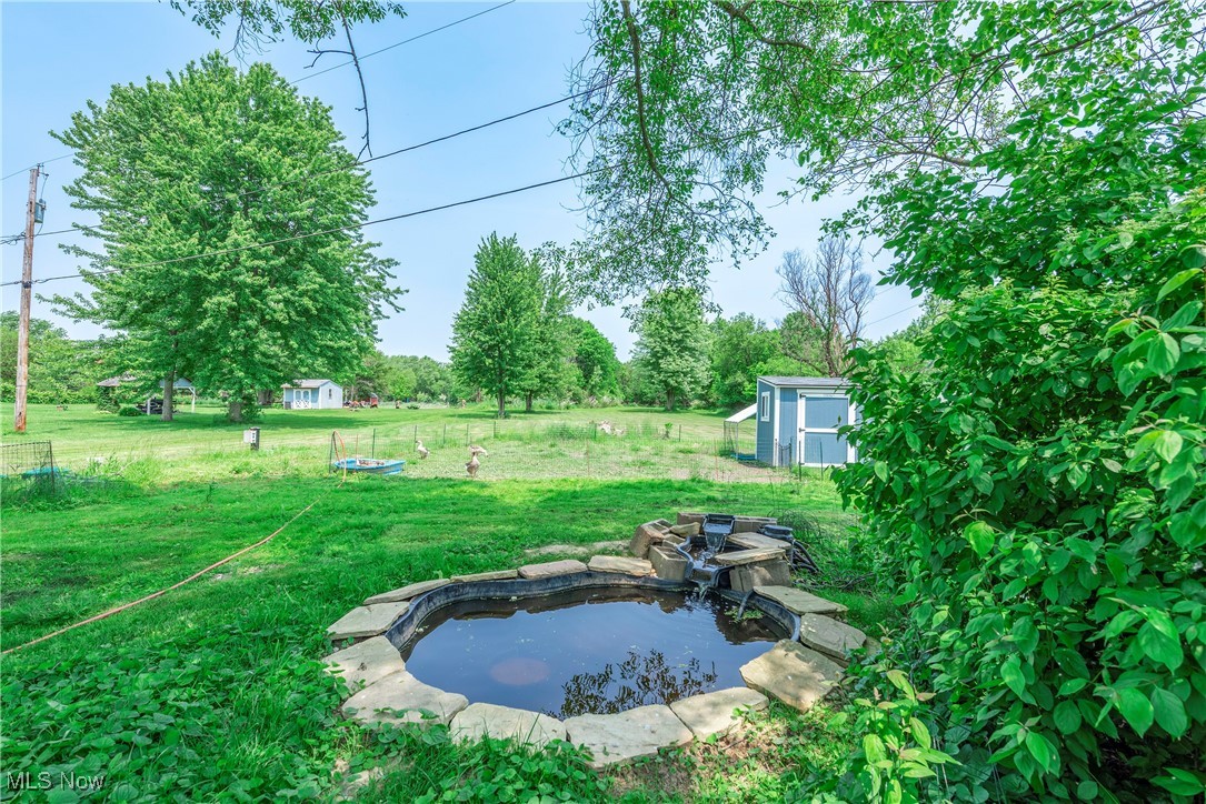 7835 Elyria Road Medina, OH 44256 - Photo 37 of 46 View of grassy yard
