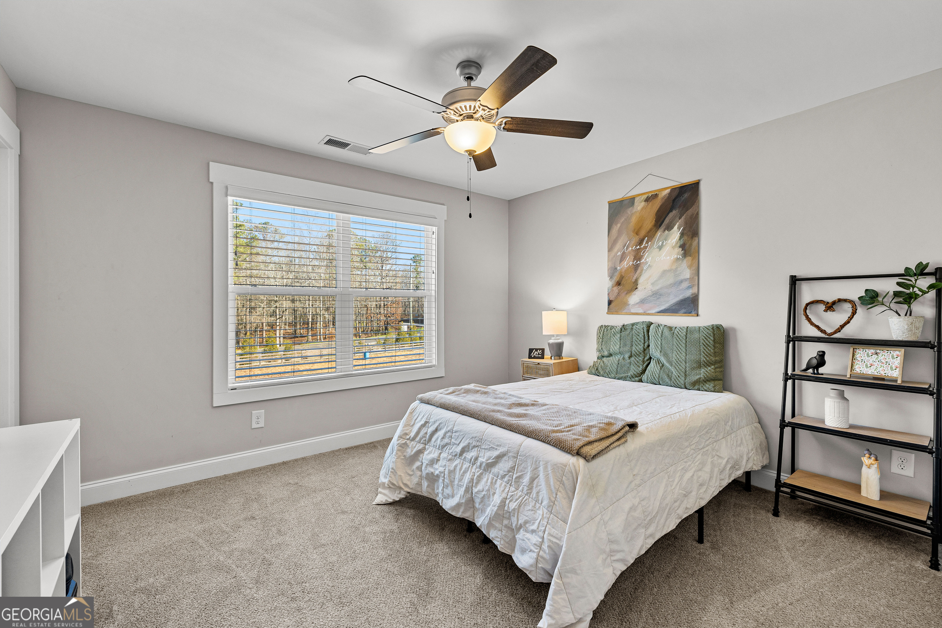 108 Morgan Mill Road Brooks, GA 30205 - Photo 45 of 87