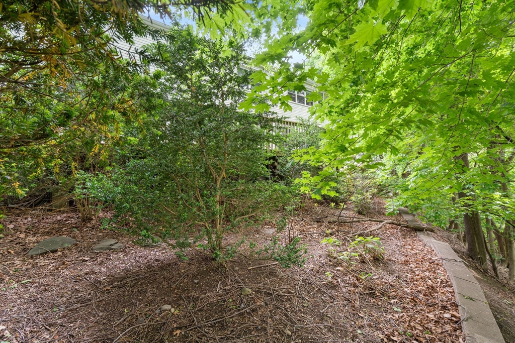 104 Oldham Road Newton, MA 02465 - Photo 10 of 10