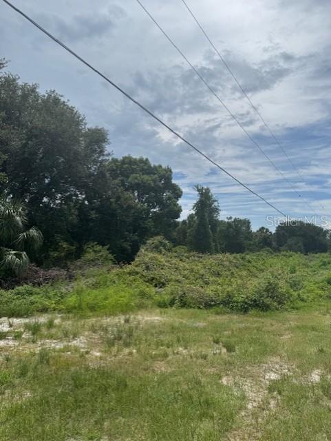 1306 Pell Road Osteen, FL 32764 - Photo 1 of 4 a view of a field of grass and trees