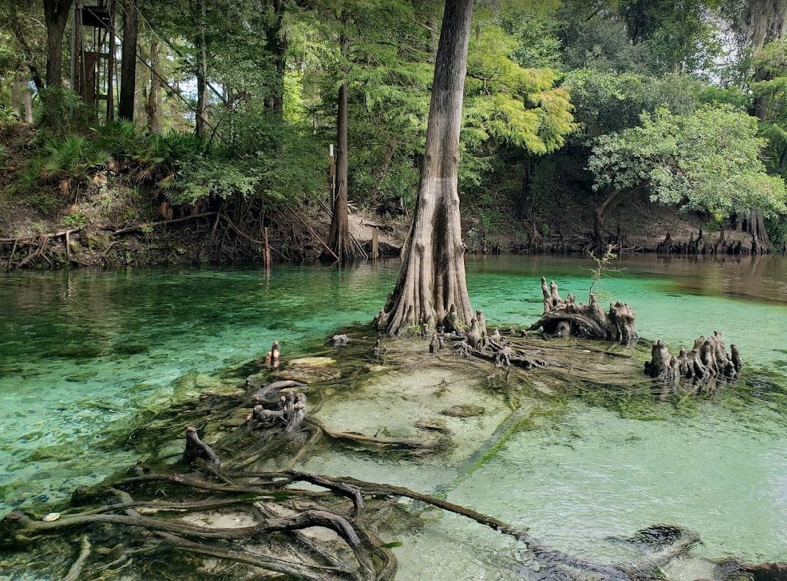 Vacant Northeast River Ridge Way Lee, FL 32059 - Photo 2 of 9