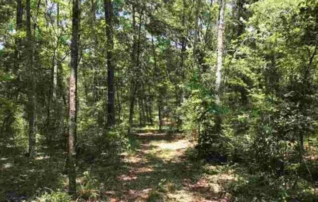 $14,000 | Vacant Northeast River Ridge Way, Lee, FL 32059