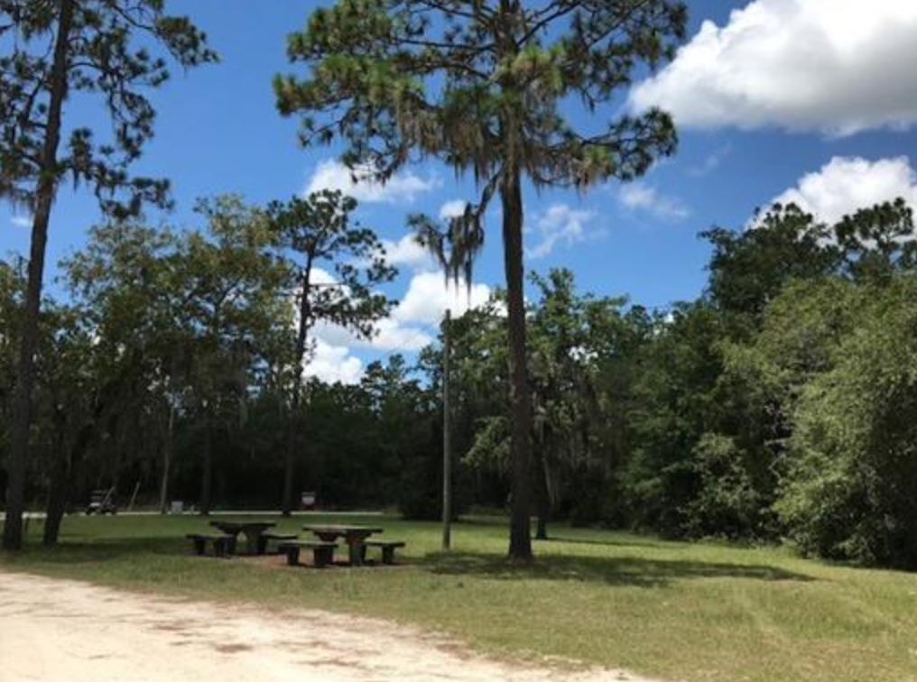 Vacant Northeast River Ridge Way Lee, FL 32059 - Photo 6 of 9