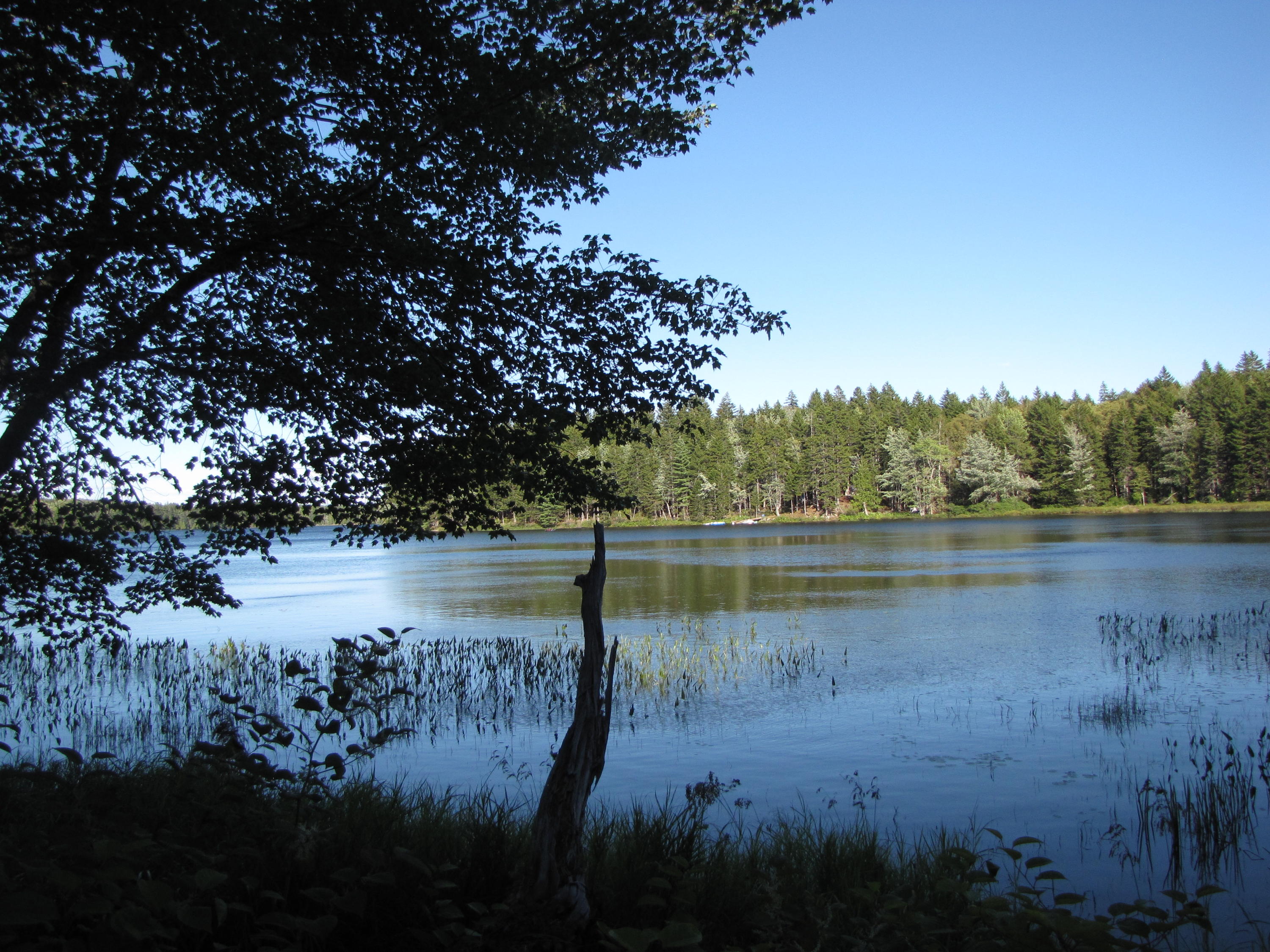 Lot 28 Halls Mills Road Whiting, ME 04691 - Photo 5 of 29 1