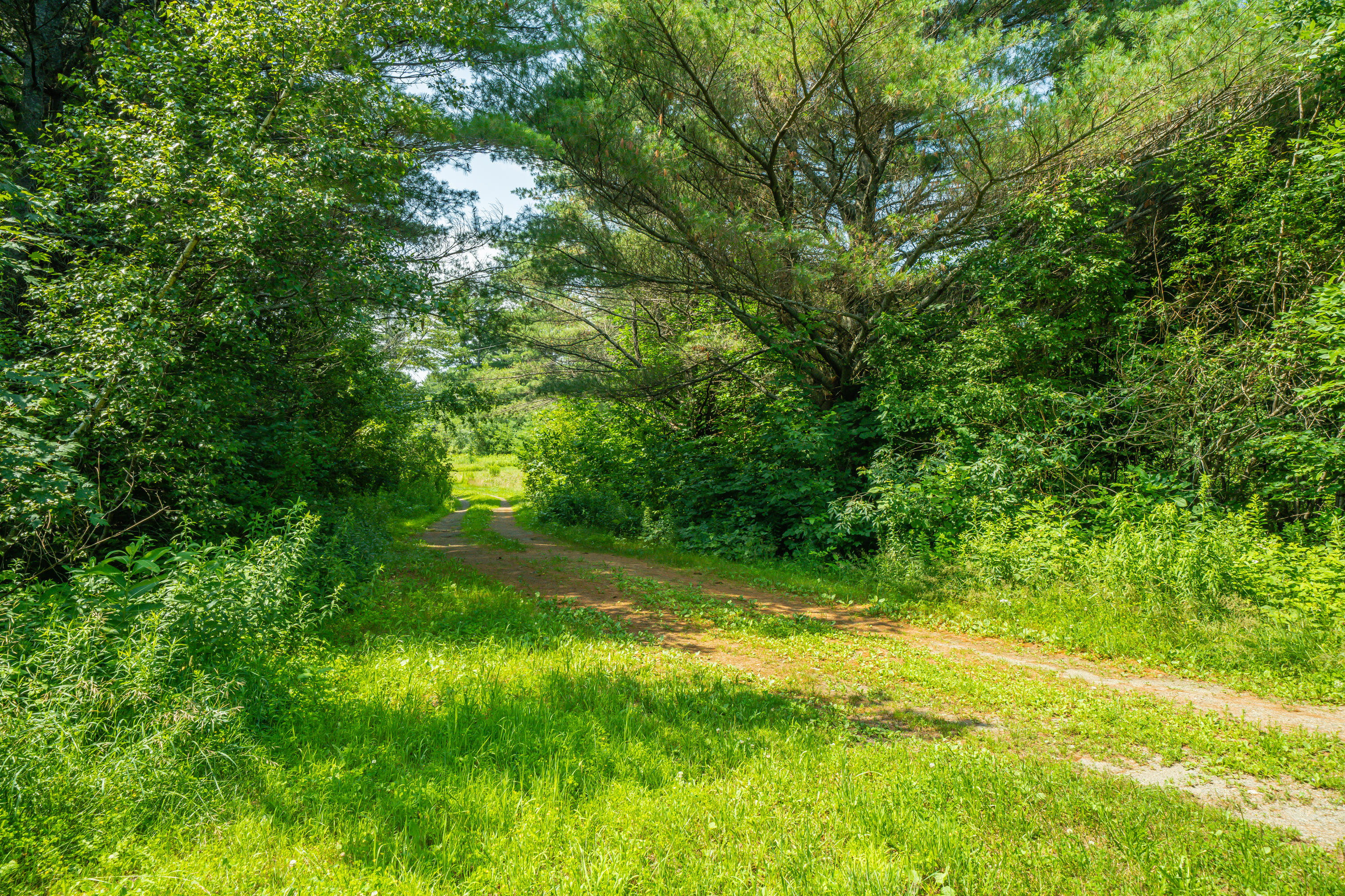 0 Marina Road Unity, ME 04988 - Photo 11 of 31 4598