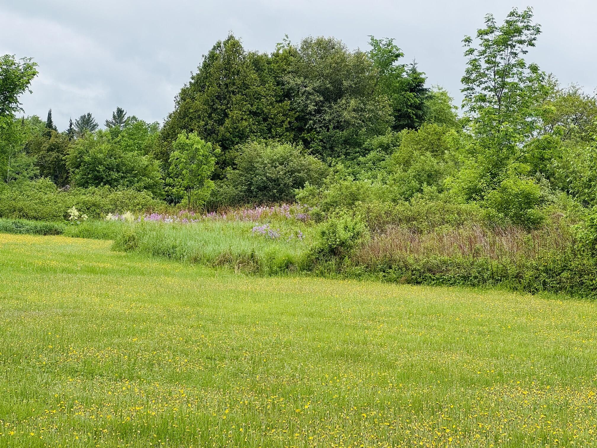 219 Shin Pond Road Patten, ME 04765 - Photo 16 of 17 IMG_7210