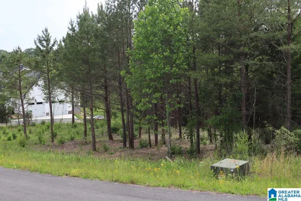 $15,900 | 0 Hillside Drive Northwest, Unit 12, Fort Payne, AL 35968