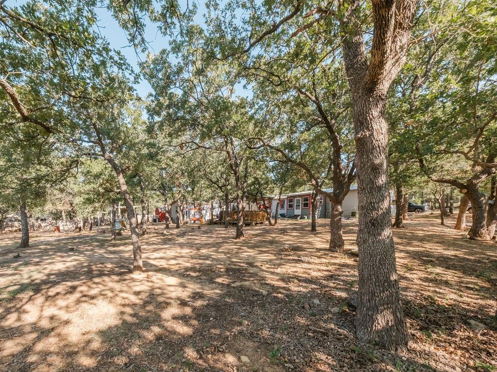196 Perch Road Bowie, TX 76230 - Photo 27 of 33 a view of a yard with plants and trees