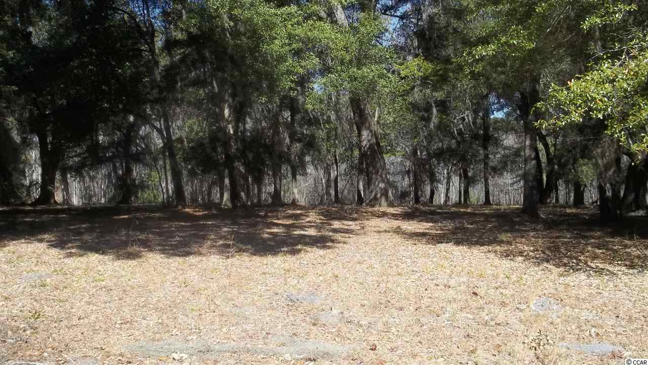17 Robin Drive Georgetown, SC 29440 - Photo 1 of 3 Gallery Image 1