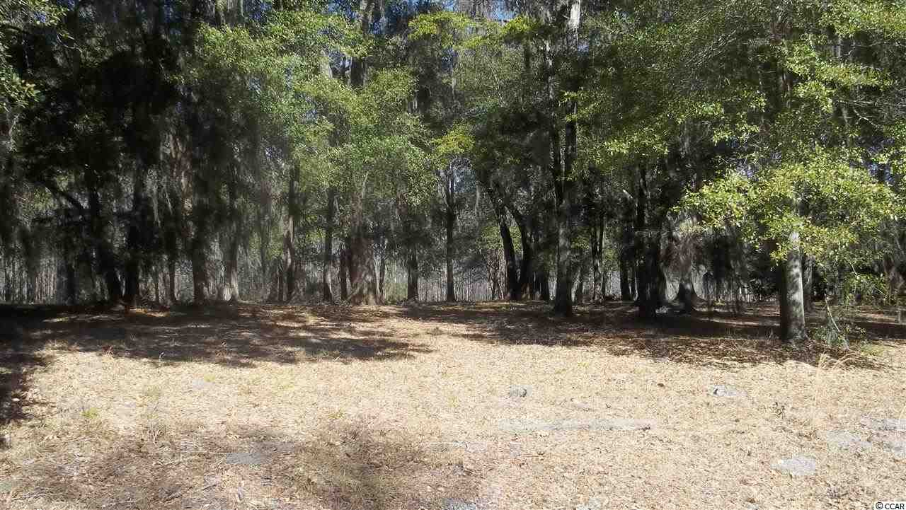 17 Robin Drive Georgetown, SC 29440 - Photo 2 of 3 Gallery Image 2