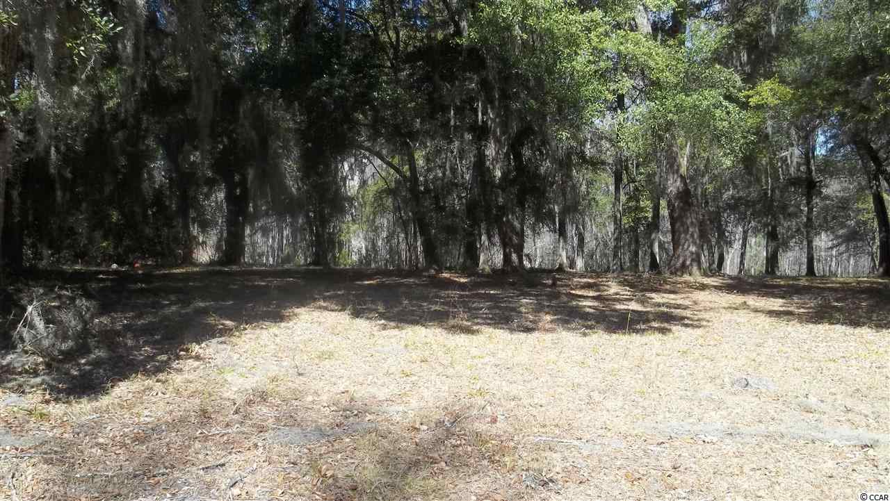 17 Robin Drive Georgetown, SC 29440 - Photo 3 of 3 Gallery Image 3