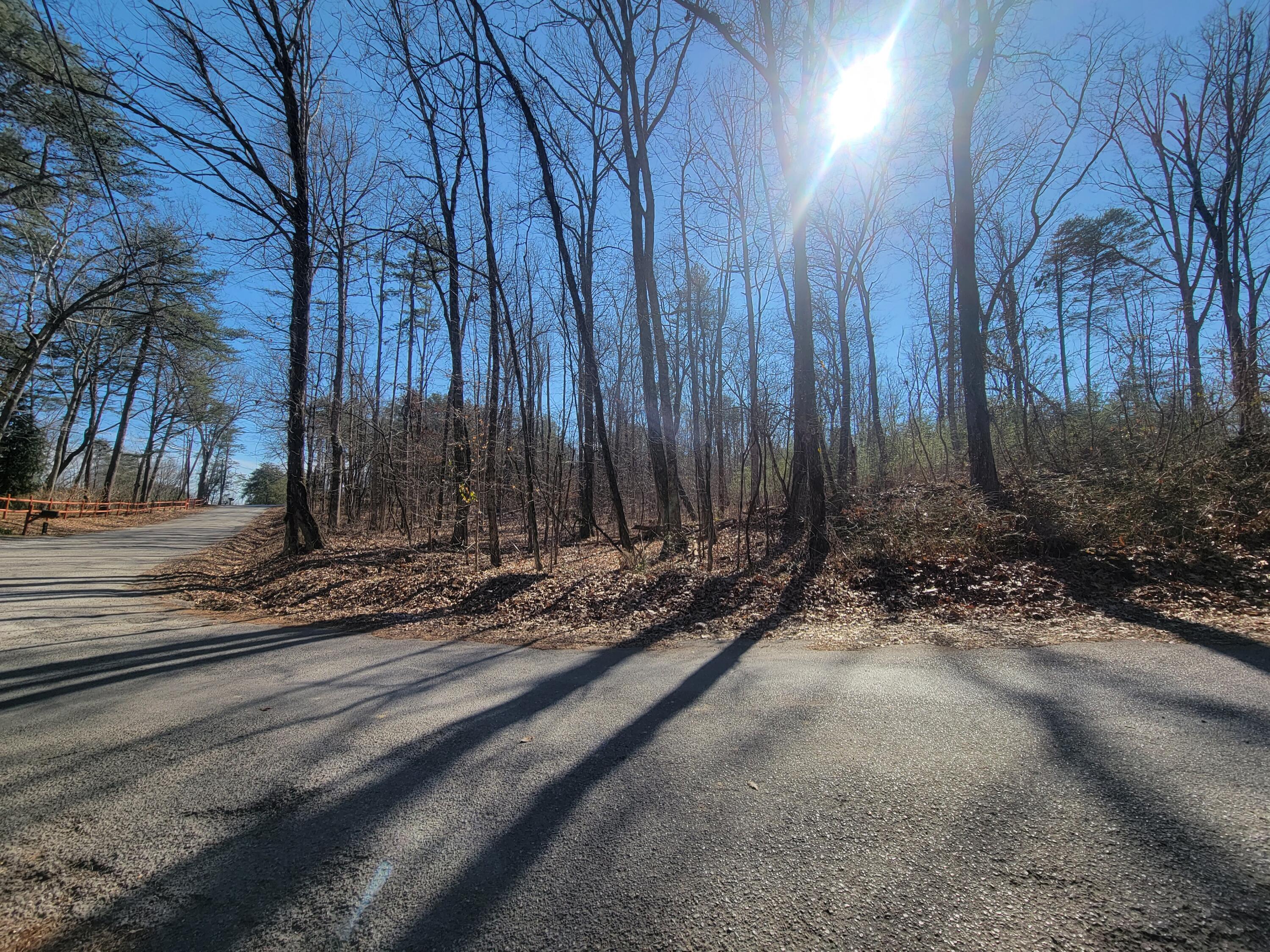 Tbd Hugh Allison Road Pikeville, TN 37367 - Photo 1 of 10 20220215_134034