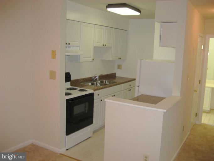 8110 Colony Point Road, Unit 219 Springfield, VA 22152 - Photo 5 of 8 Kitchen