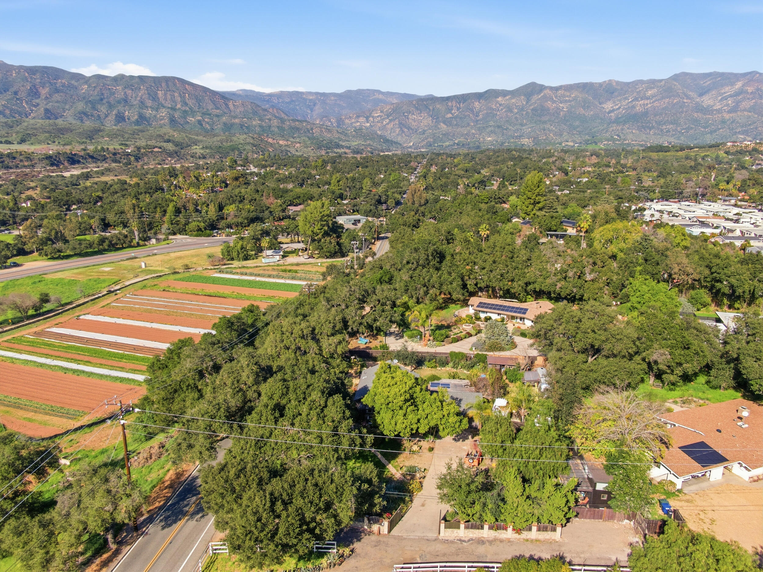 1794 South Rice Road Ojai, CA 93023 - Photo 21 of 33 a view of a lush green field with mountains in the background