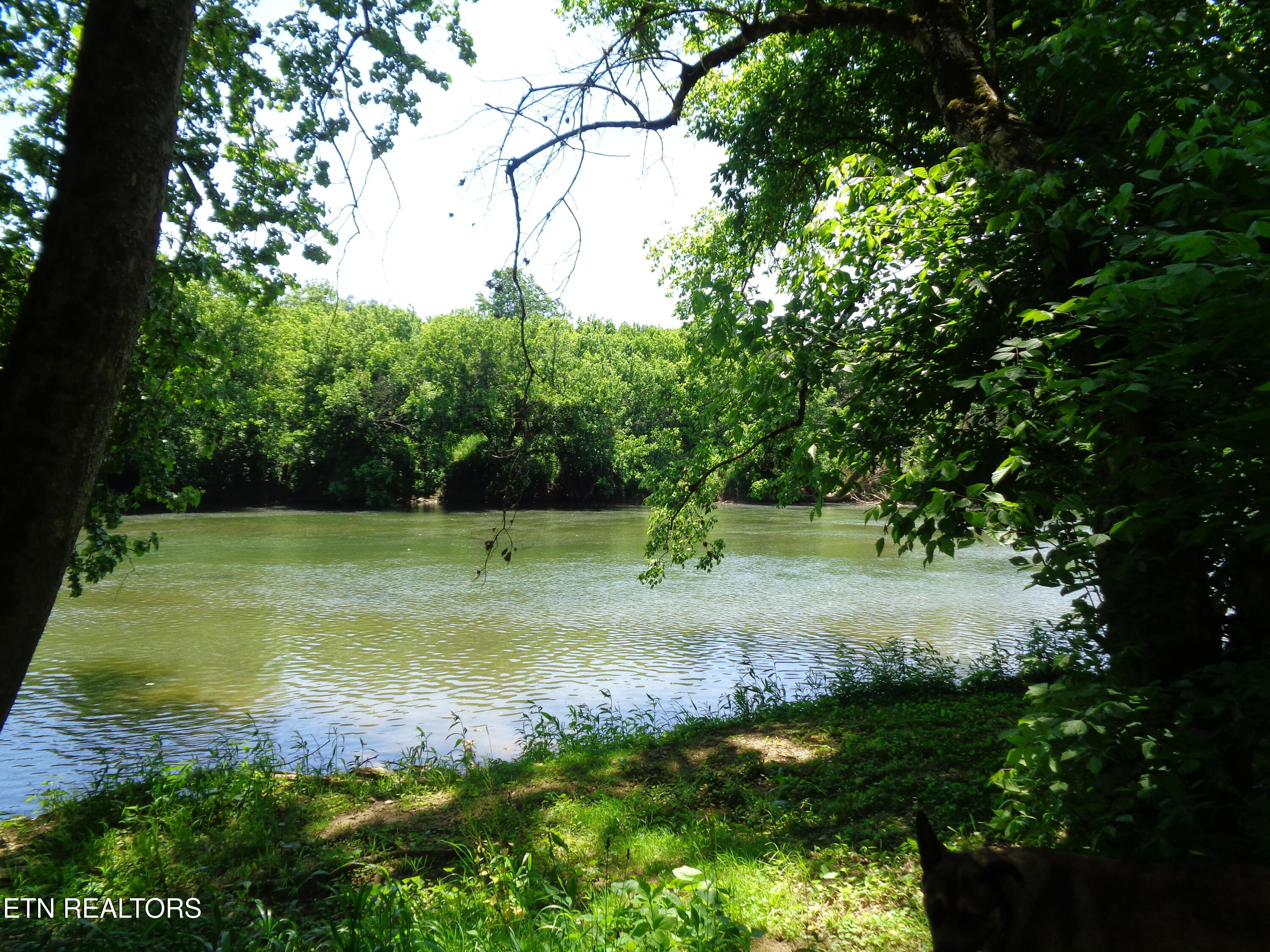 0 Kyles Ford Road Kyles Ford, TN 37765 - Photo 6 of 18 DSC01091