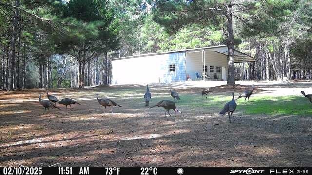 1532 Bold Springs Road Ochlocknee, GA 31773 - Photo 7 of 23 Gallery Image 7