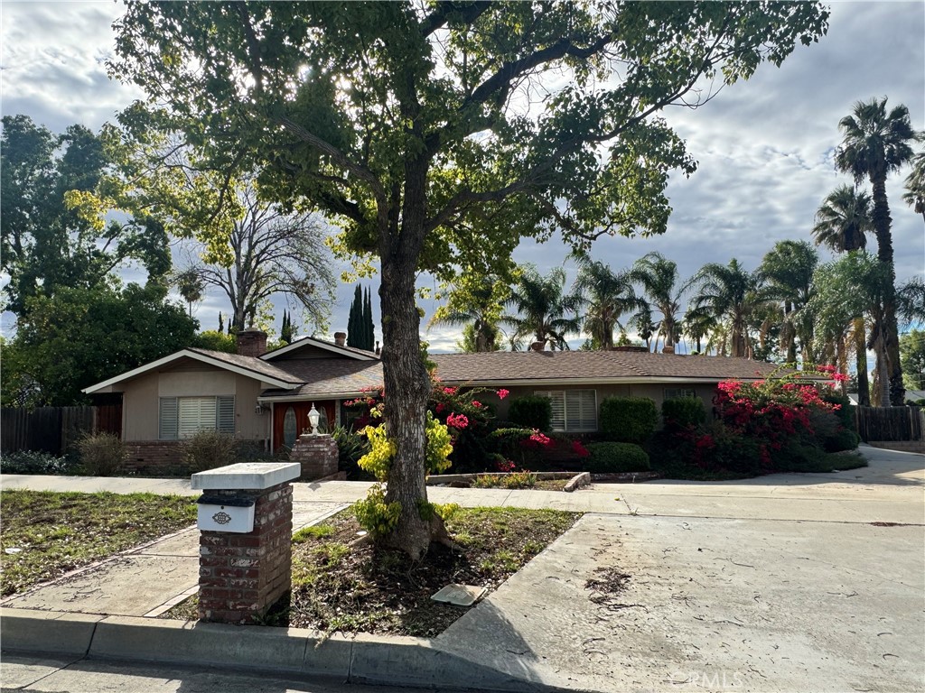 a view of a house with backyard and trees