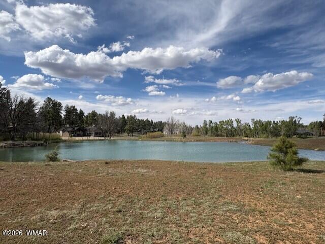 2480 West Edgewater Show Low, AZ 85901 - Photo 1 of 12 a view of a lake