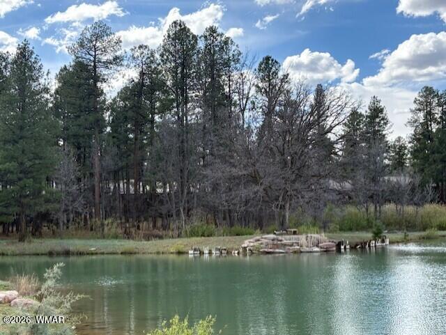 2480 West Edgewater Show Low, AZ 85901 - Photo 11 of 12 a view of lake view with houses