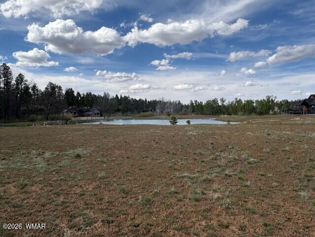 2480 West Edgewater Show Low, AZ 85901 - Photo 2 of 12 a view of a lake