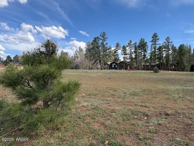 2480 West Edgewater Show Low, AZ 85901 - Photo 4 of 12 a view of outdoor space and trees