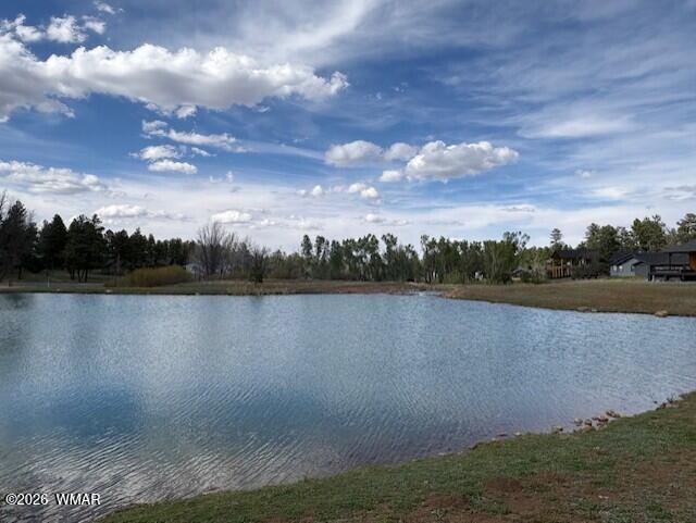 2480 West Edgewater Show Low, AZ 85901 - Photo 5 of 12 a view of lake with mountain
