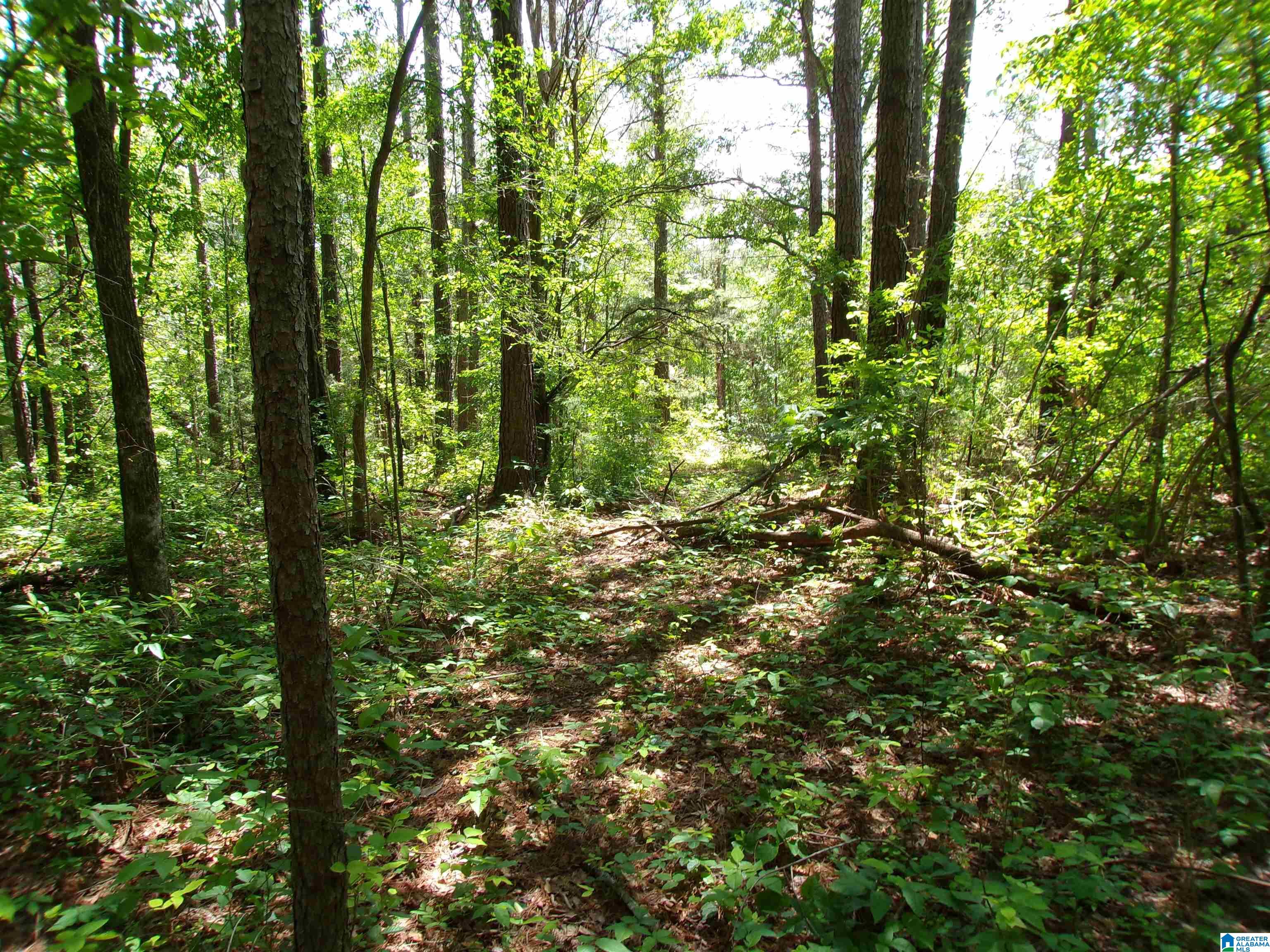 1 St Mary Road South, Unit 1 Lincoln, AL 35096 - Photo 13 of 23