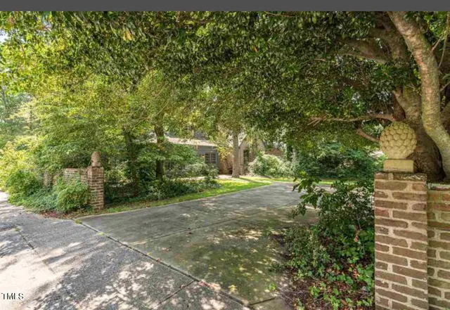 a view of a field with plants and trees