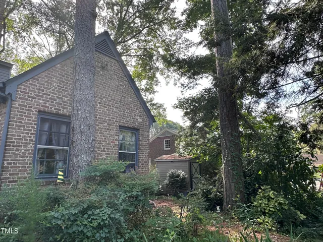 a backyard of a house with plants and large tree