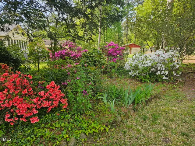 a view of a flower in a garden