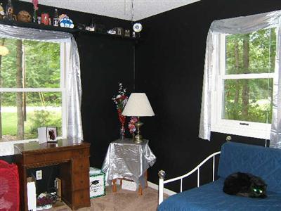 3629 Orshal Road Whitehall, MI 49461 - Photo 12 of 17 Additional Photo