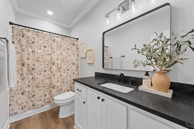 a bathroom with a granite countertop sink a toilet and a mirror