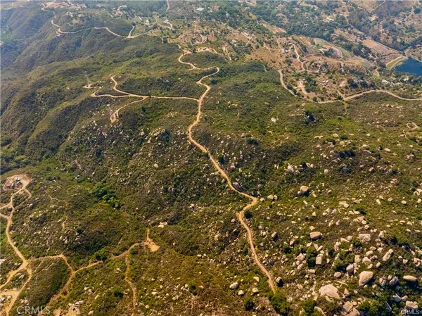 a view of a forest