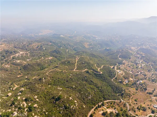 a view of a forest