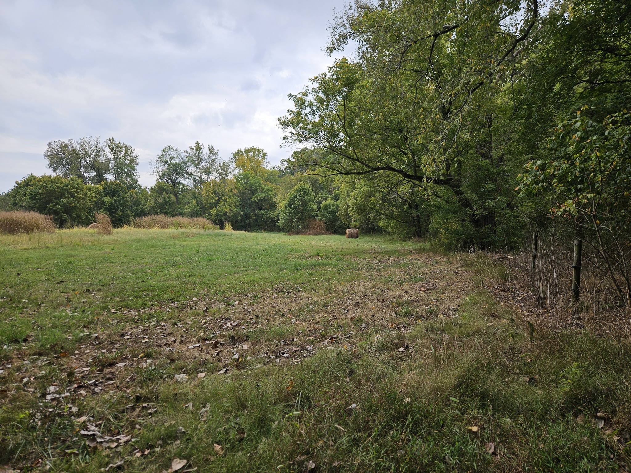 5570 J R Jones Road Cedar Hill, TN 37032 - Photo 2 of 6 Gallery Image 2