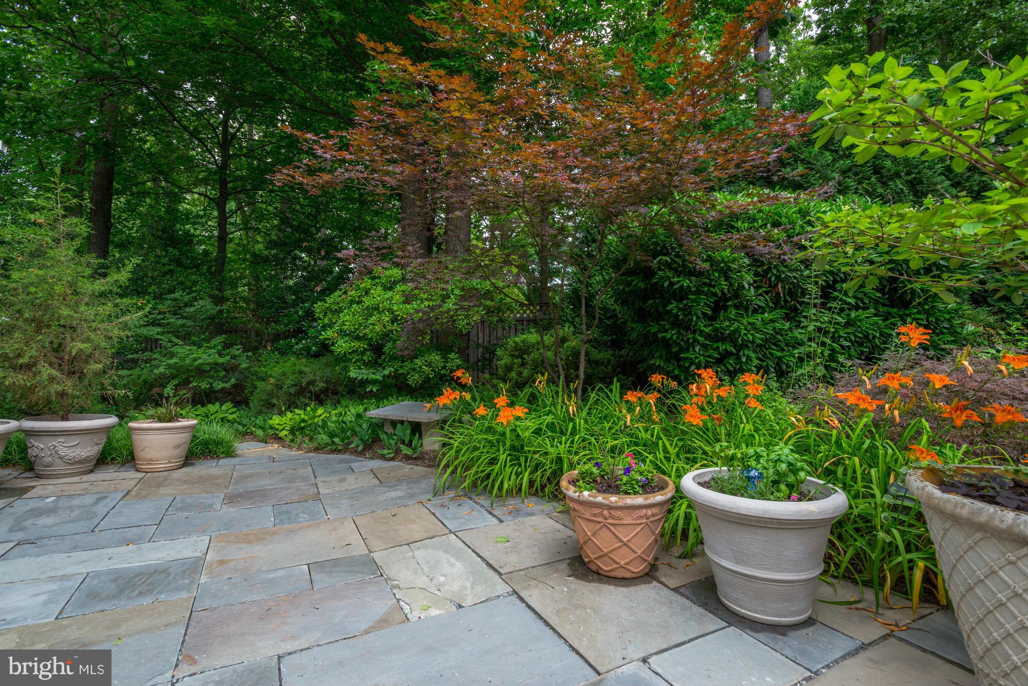 9509 Burning Tree Road Bethesda, MD 20817 - Photo 27 of 30 Exterior (Rear)