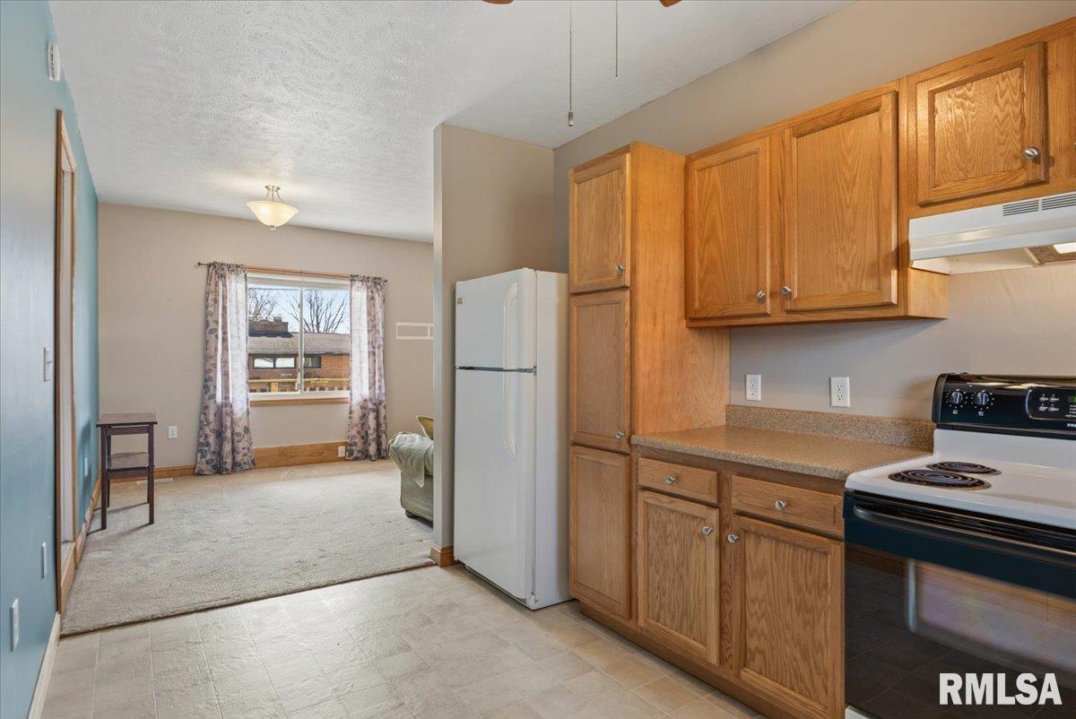 901 North 6th Street Riverton, IL 62561 - Photo 28 of 48