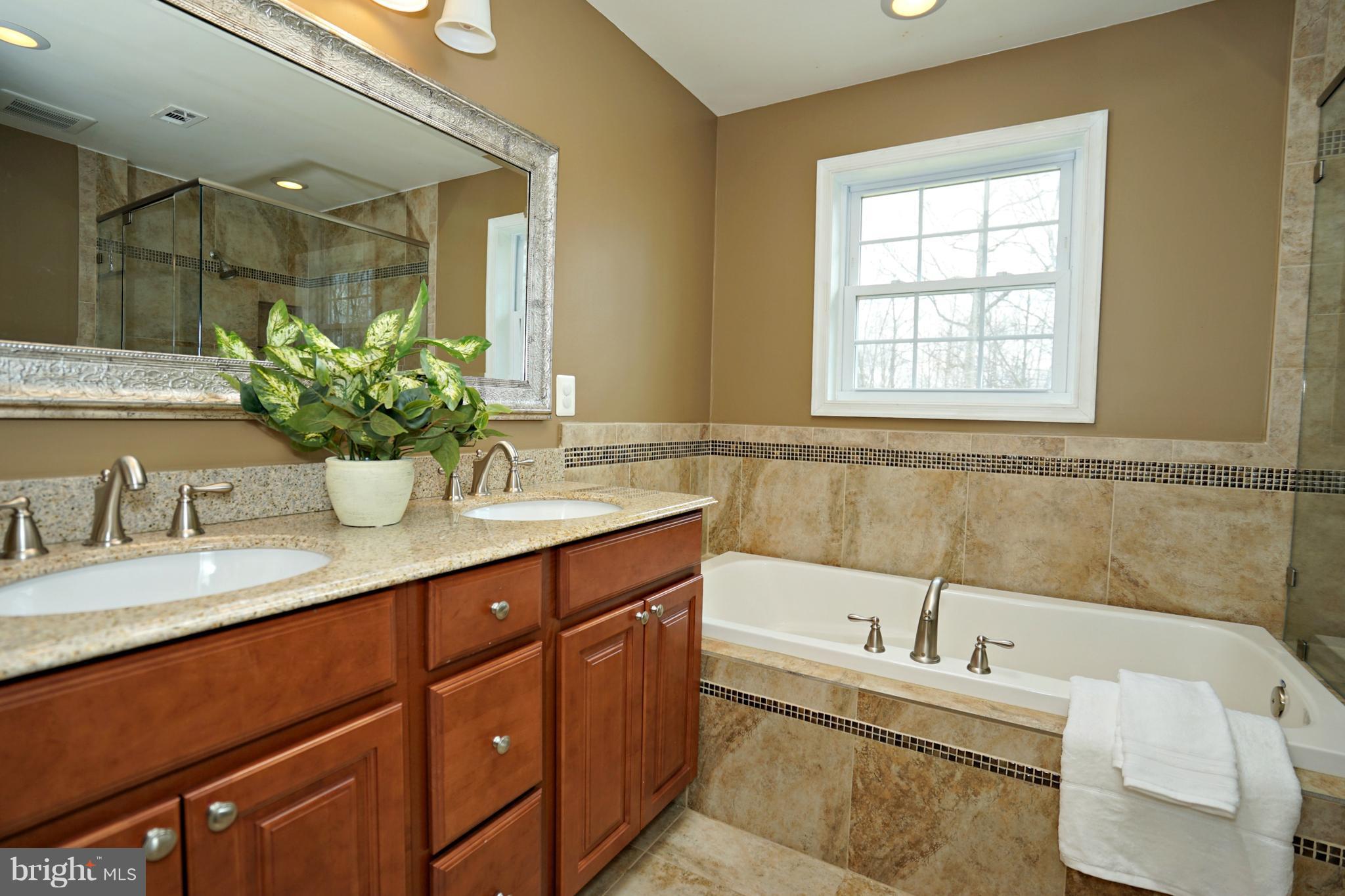 6139 Misty Ridge Road Broad Run, VA 20137 - Photo 14 of 30 Bath (Master)