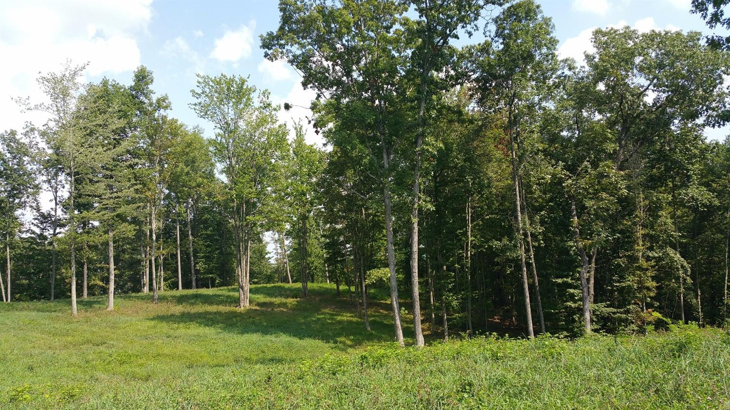 100 Big Sandy Road Mount Vernon, KY 40456 - Photo 4 of 34 Photo 4