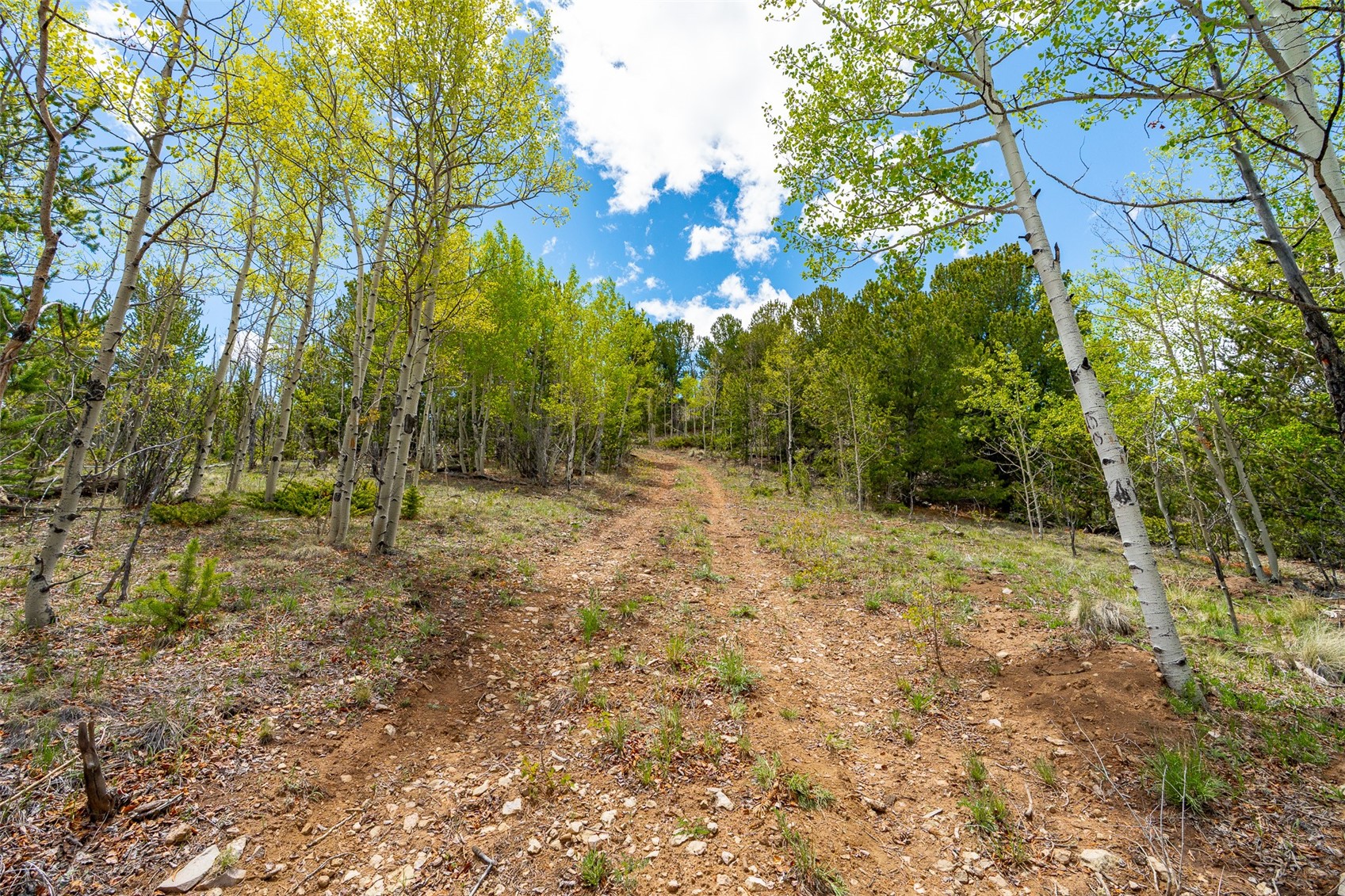 1023 Mexican Ridge Circle Como, CO 80432 - Photo 37 of 50