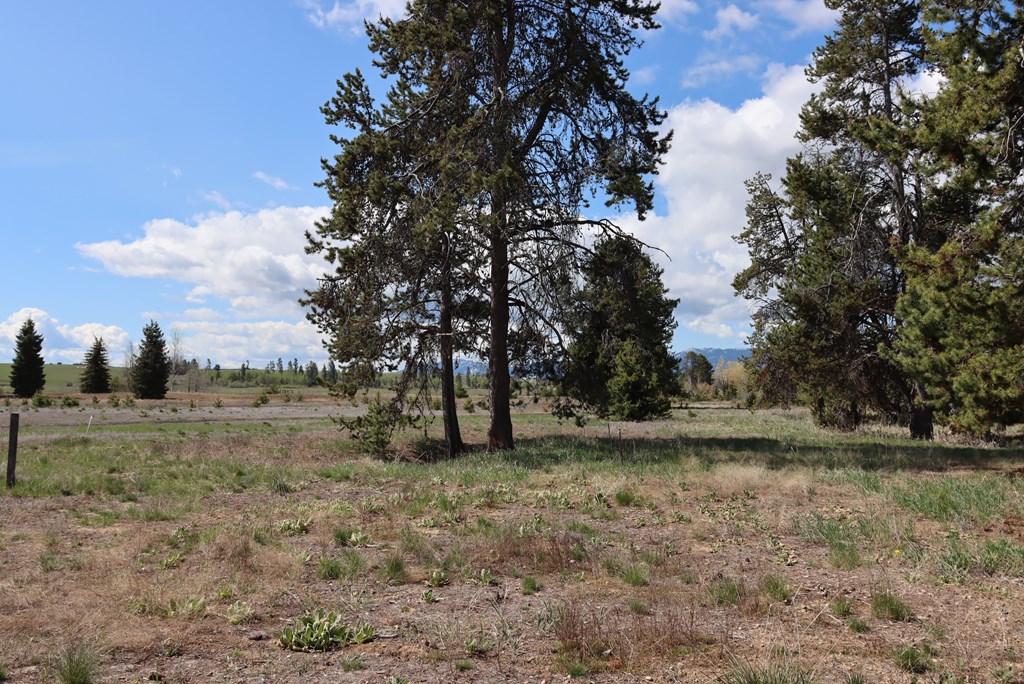 287 Rawhide Loop, Unit 32 McCall, ID 83638 - Photo 21 of 26