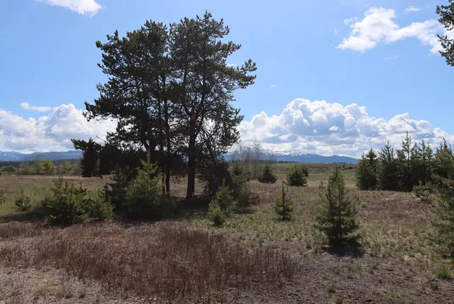 $418,500 | 287 Rawhide Loop, Unit 32, McCall, ID 83638