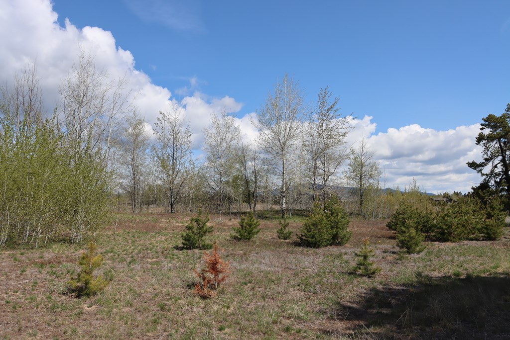 287 Rawhide Loop, Unit 32 McCall, ID 83638 - Photo 8 of 26