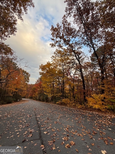 595 Whispering Dale Clarkesville, GA 30523 - Photo 2 of 6 a view of outdoor space and yard
