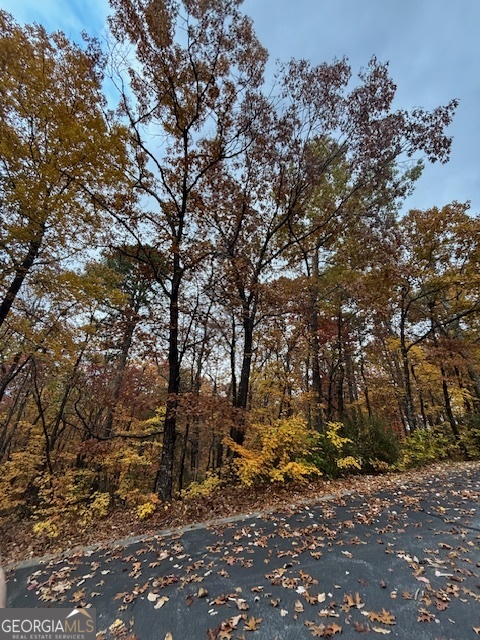 595 Whispering Dale Clarkesville, GA 30523 - Photo 3 of 6 a view of a tree with a yard